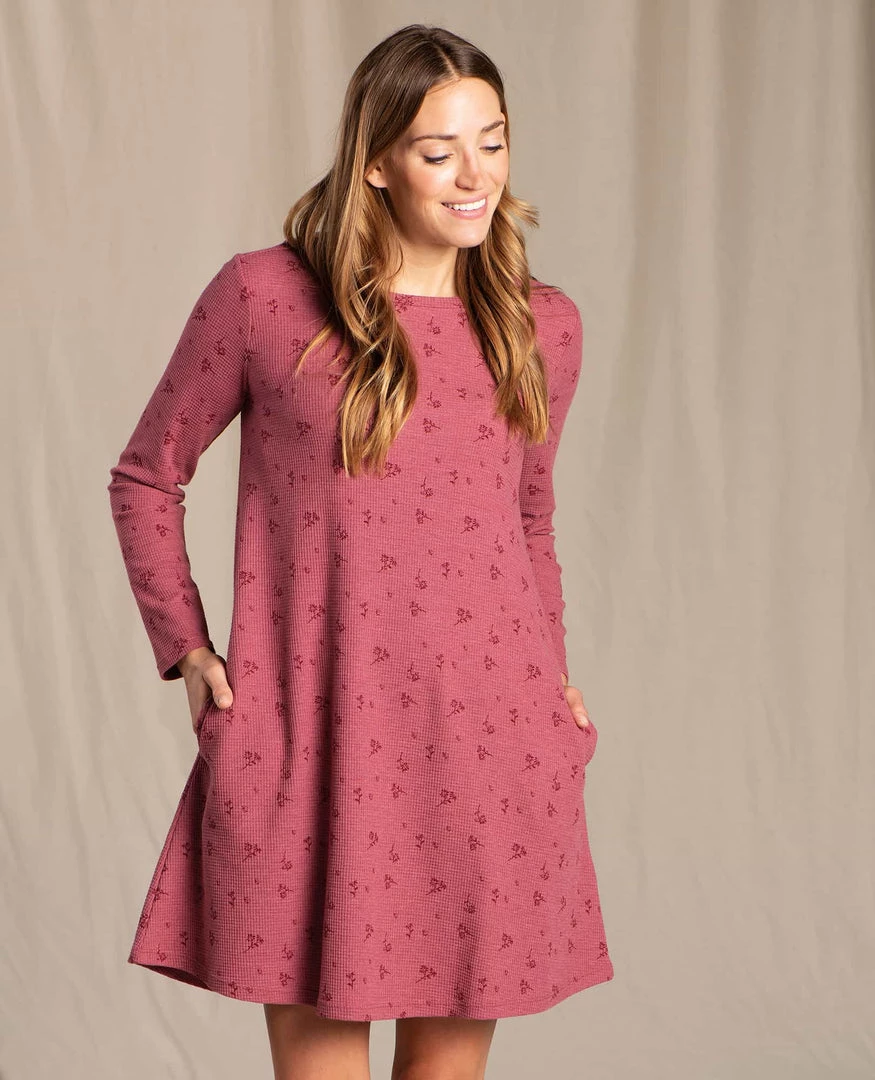 Toad&Co Foothill Long Sleeve Swing Dress