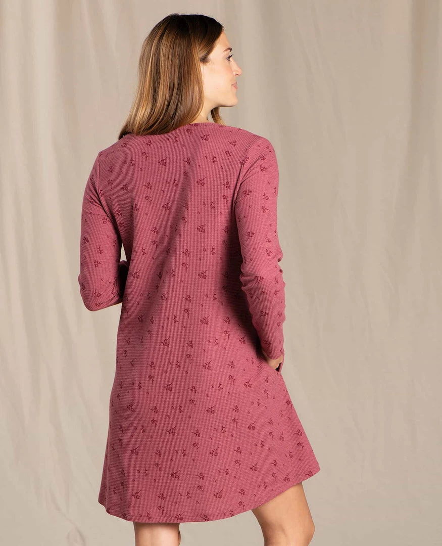 Toad&Co Foothill Long Sleeve Swing Dress