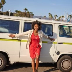 Toad&Co Cue Wrap Short Sleeve Dress