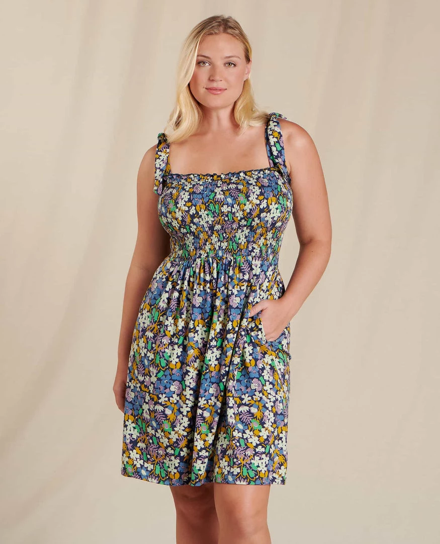 Toad&Co Gemina Sleeveless Dress